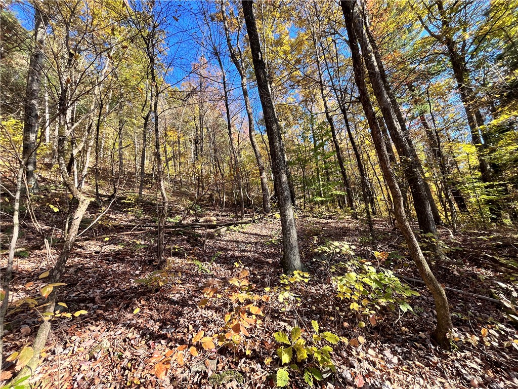 34 State Route Lockwood, NY 14859 - Photo 21 of 43