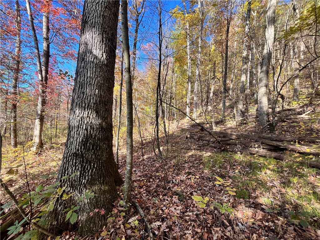 34 State Route Lockwood, NY 14859 - Photo 22 of 43