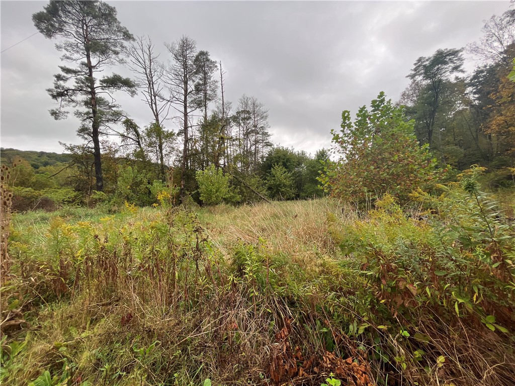 34 State Route Lockwood, NY 14859 - Photo 23 of 43