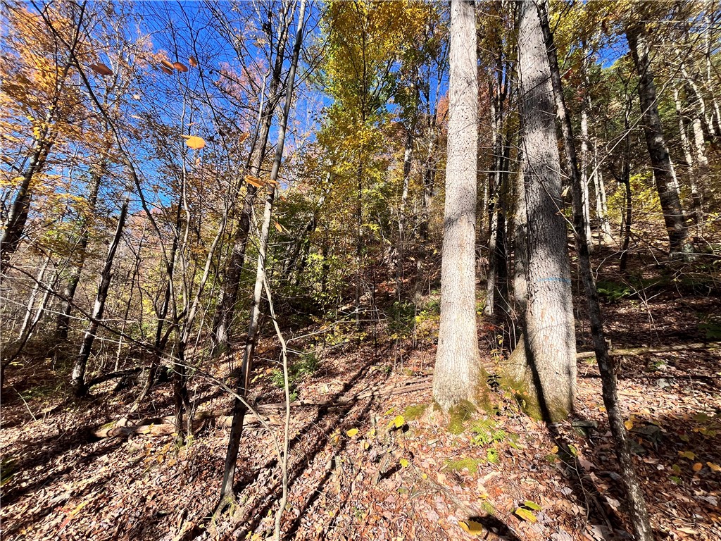 34 State Route Lockwood, NY 14859 - Photo 24 of 43