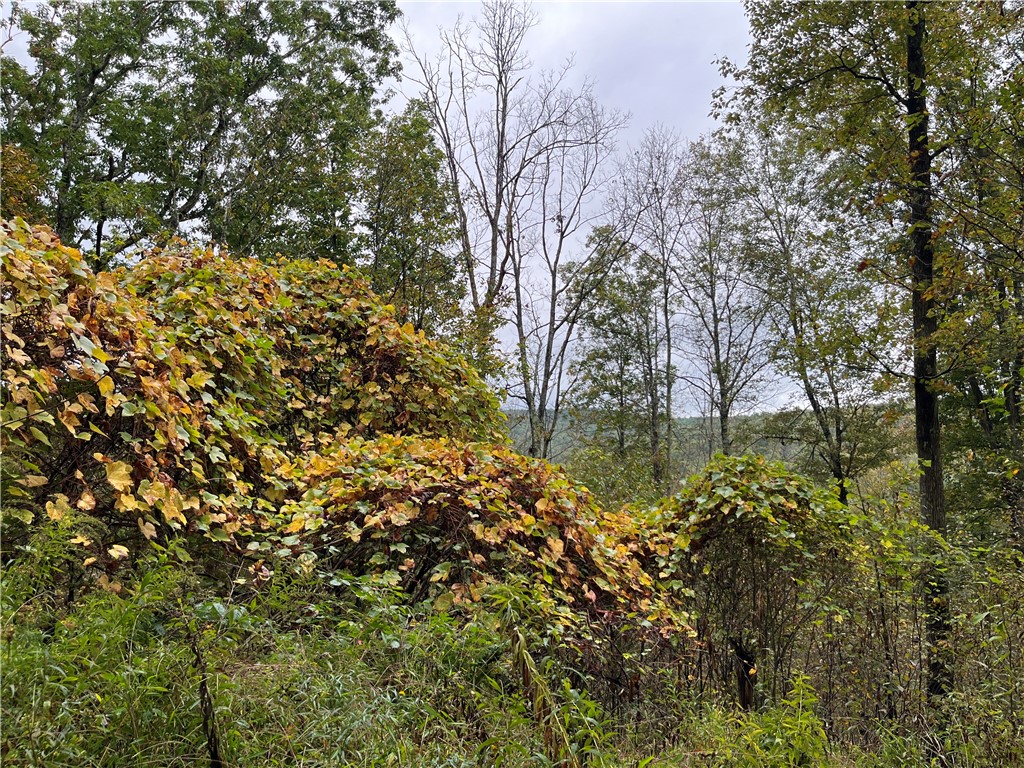 34 State Route Lockwood, NY 14859 - Photo 25 of 43