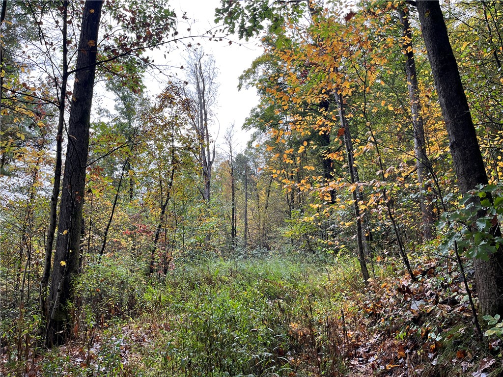 34 State Route Lockwood, NY 14859 - Photo 26 of 43