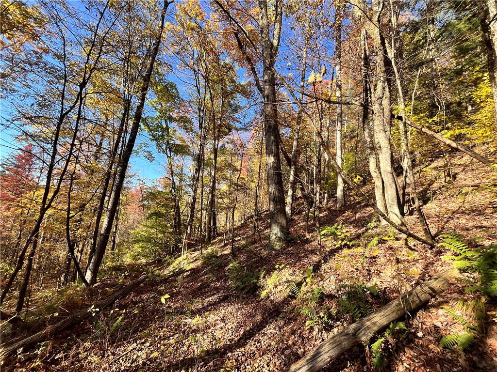 34 State Route Lockwood, NY 14859 - Photo 30 of 43