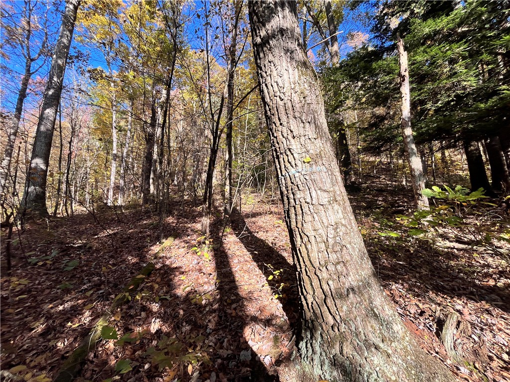 34 State Route Lockwood, NY 14859 - Photo 31 of 43