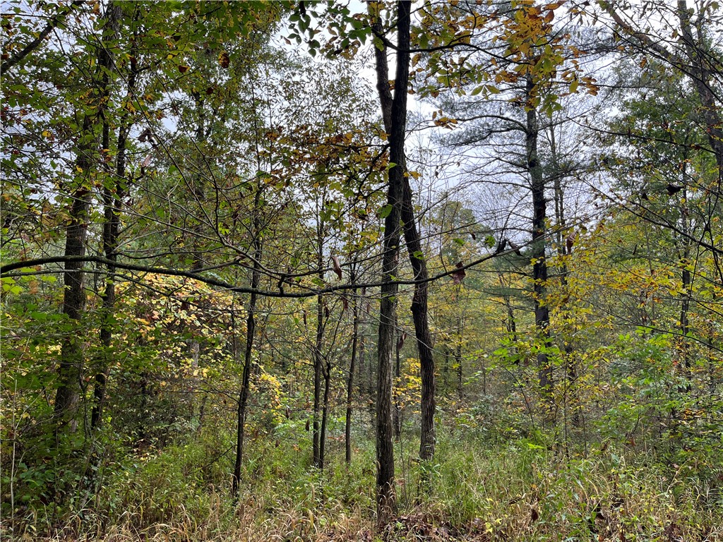 34 State Route Lockwood, NY 14859 - Photo 33 of 43