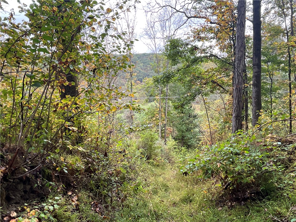 34 State Route Lockwood, NY 14859 - Photo 34 of 43