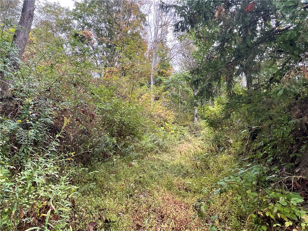 34 State Route Lockwood, NY 14859 - Photo 35 of 43