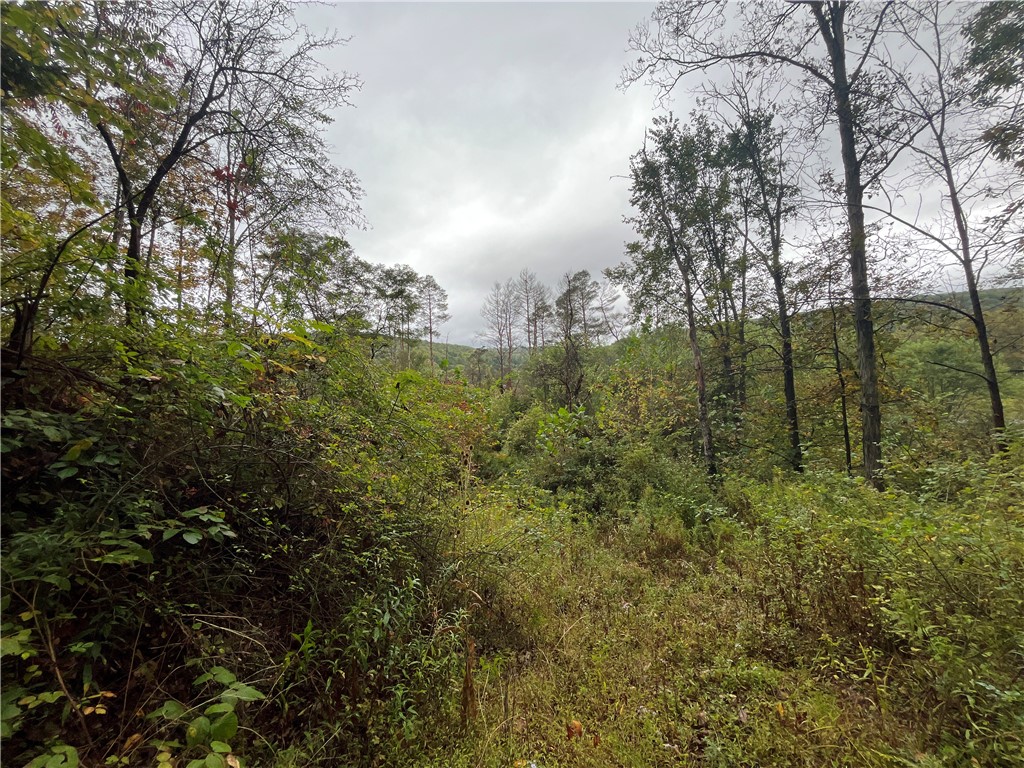 34 State Route Lockwood, NY 14859 - Photo 36 of 43