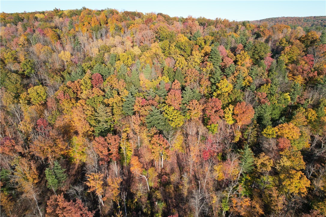 34 State Route Lockwood, NY 14859 - Photo 38 of 43