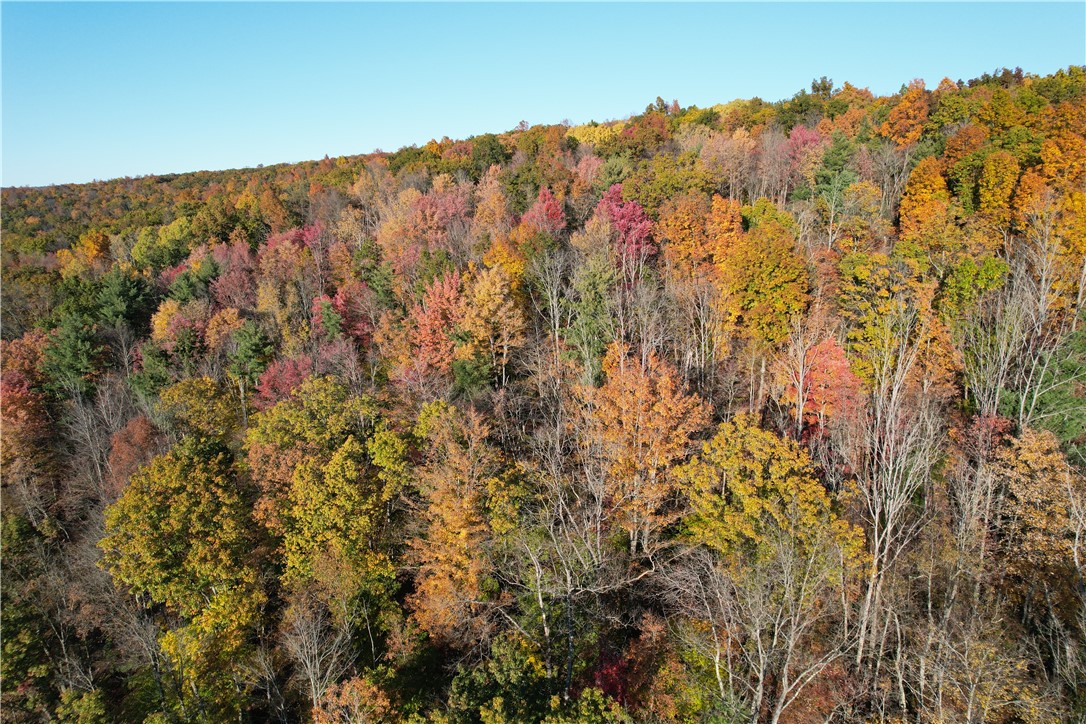 34 State Route Lockwood, NY 14859 - Photo 39 of 43