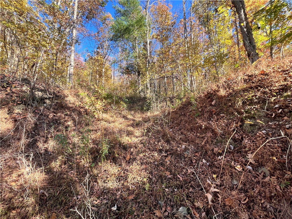 34 State Route Lockwood, NY 14859 - Photo 4 of 43