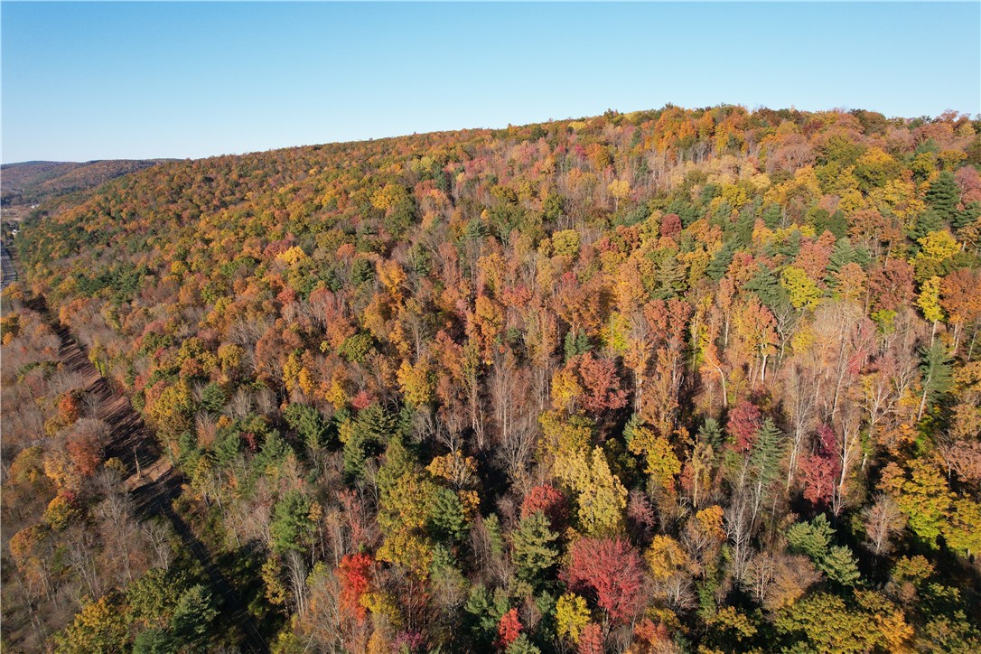 34 State Route Lockwood, NY 14859 - Photo 6 of 43