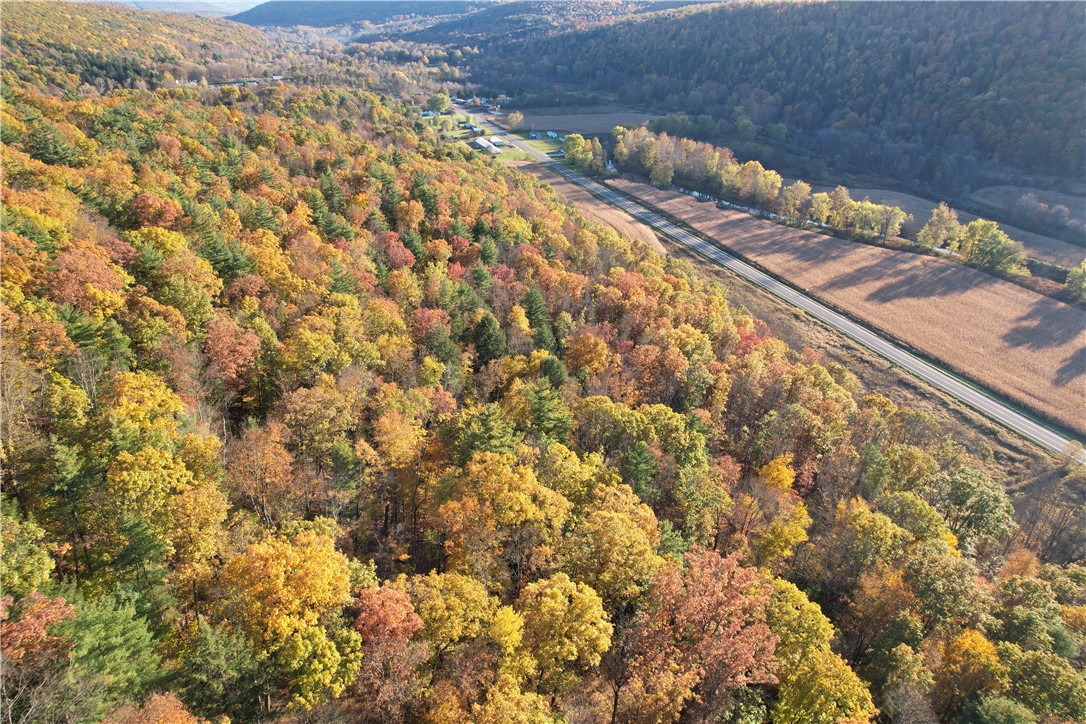 34 State Route Lockwood, NY 14859 - Photo 8 of 43