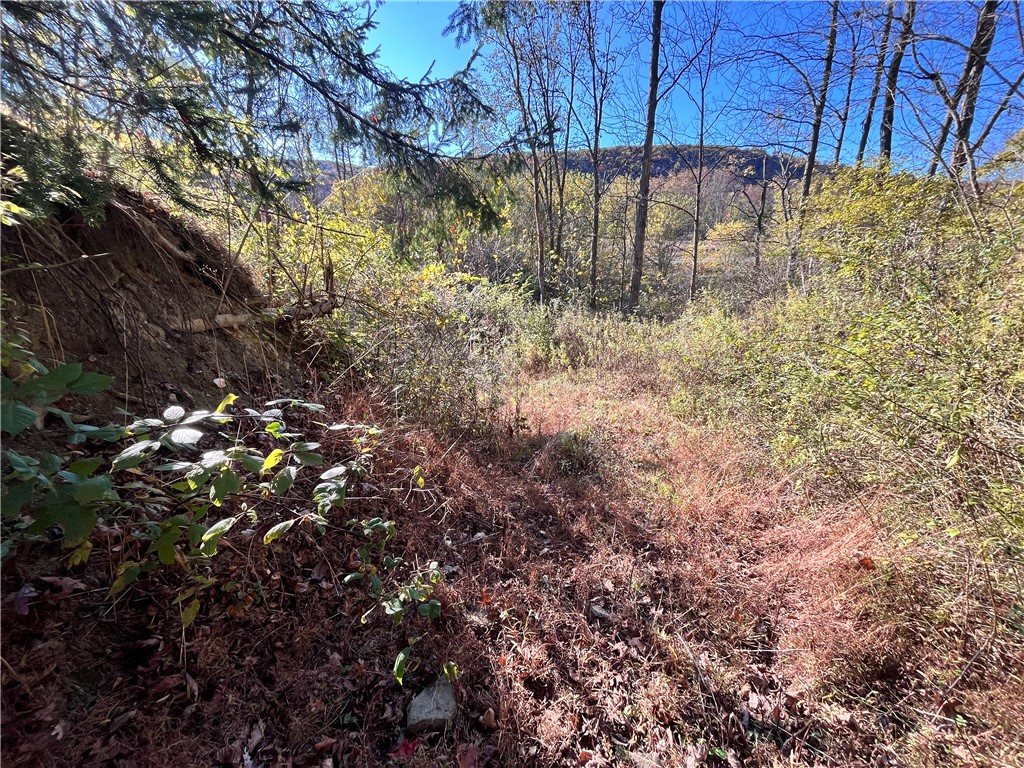 34 State Route Lockwood, NY 14859 - Photo 10 of 43