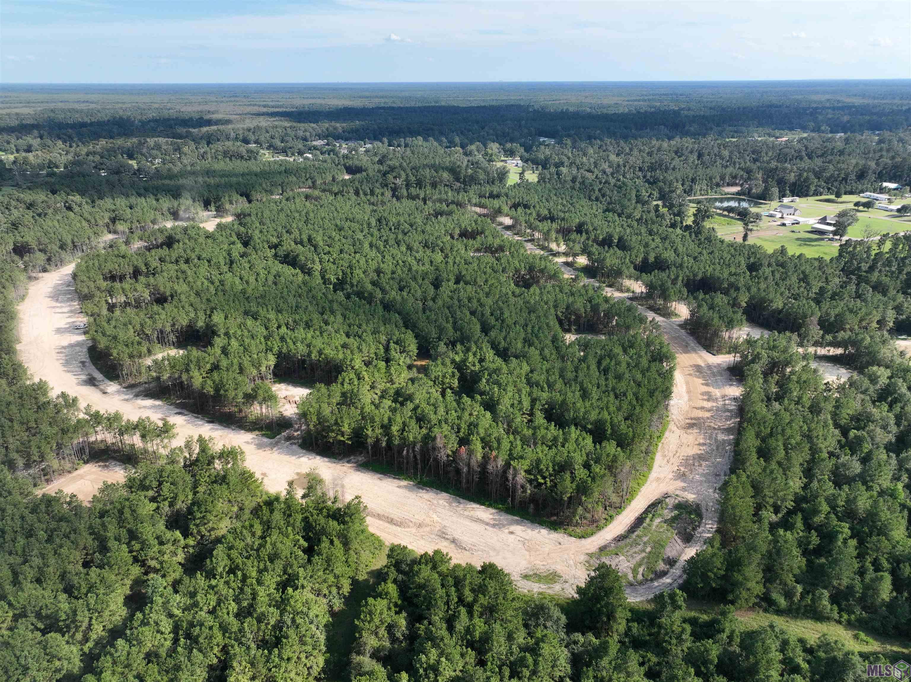 Lot 31 Copper Pass Livingston, LA 70754 - Photo 12 of 18