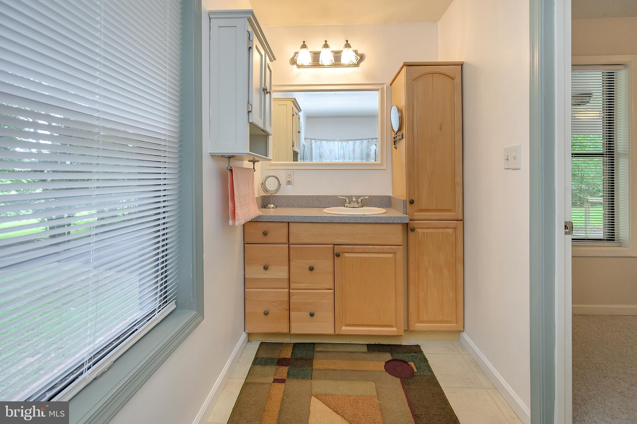 3603 Burton Road Bumpass, VA 23024 - Photo 19 of 44 Master Bath