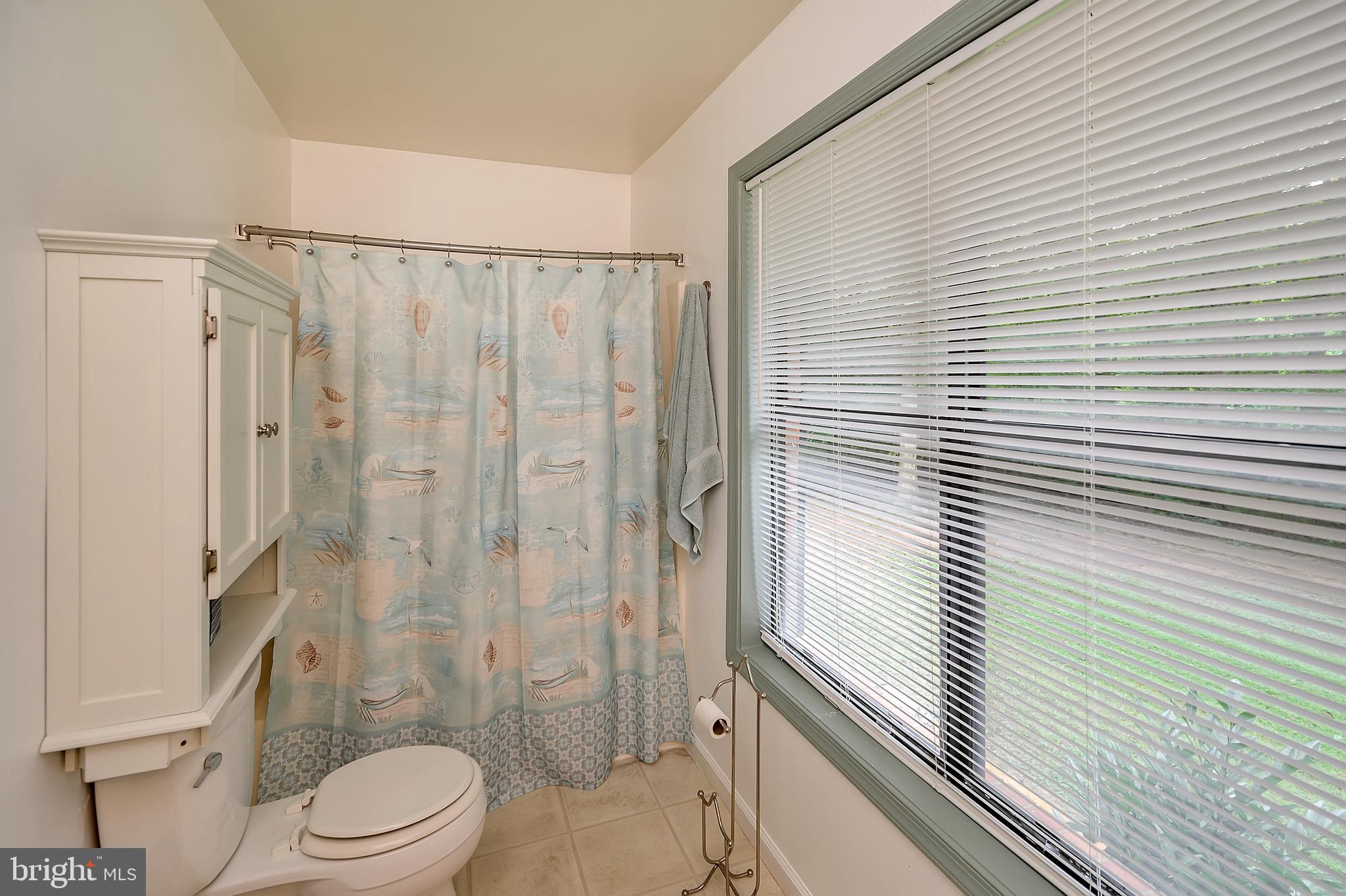3603 Burton Road Bumpass, VA 23024 - Photo 20 of 44 Master Bath