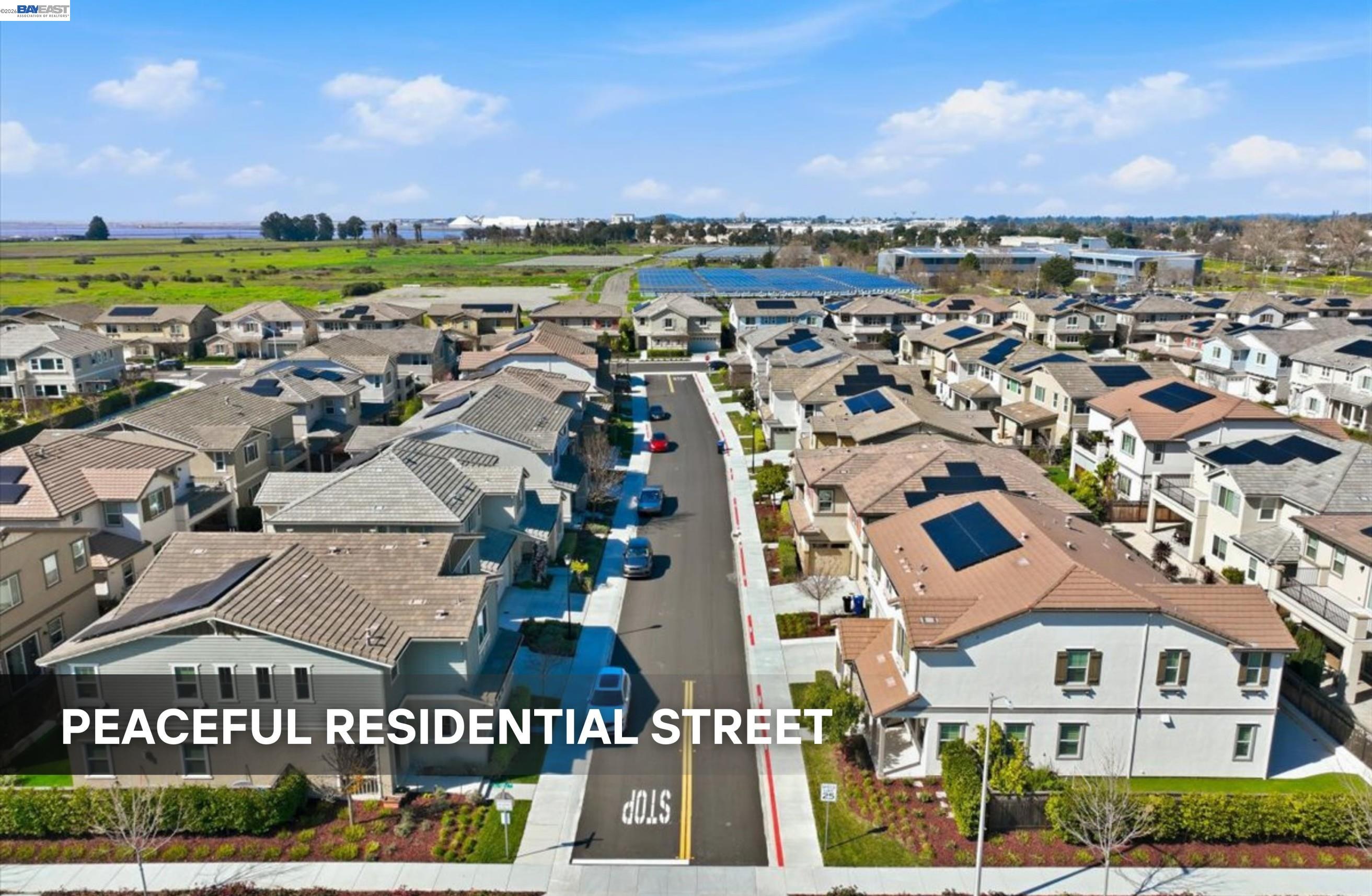 39438 Humpback Whale Road Newark, CA 94560 - Photo 51 of 51 an aerial view of multiple house