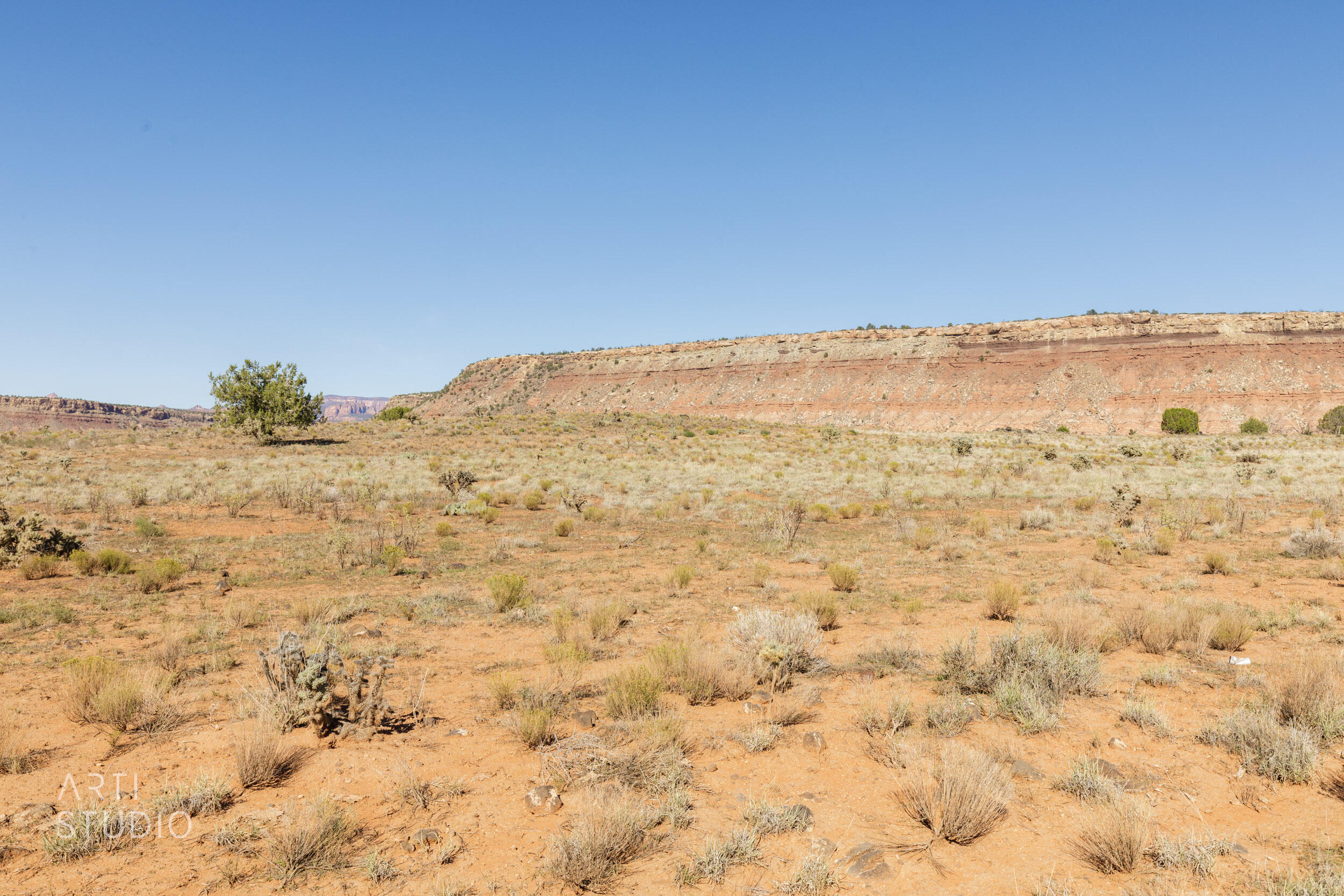 690.65 South Coal Pits Road Springdale, UT 84767 - Photo 28 of 30 Coal Pits Land-Johan R (41 of 41)