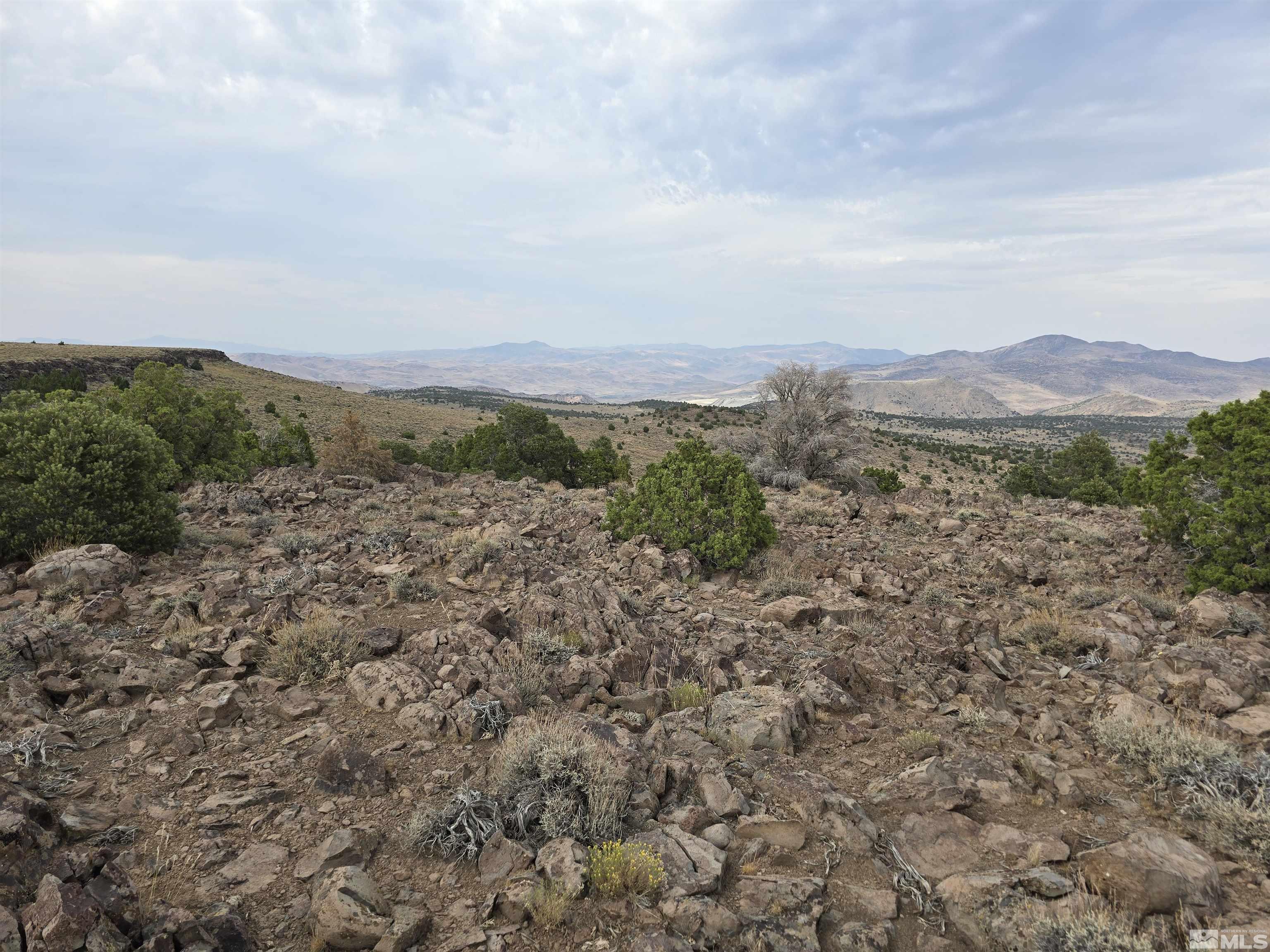 4-221-02 Reno, NV 89521 - Photo 11 of 21 a view of a dry yard with mountains in the background