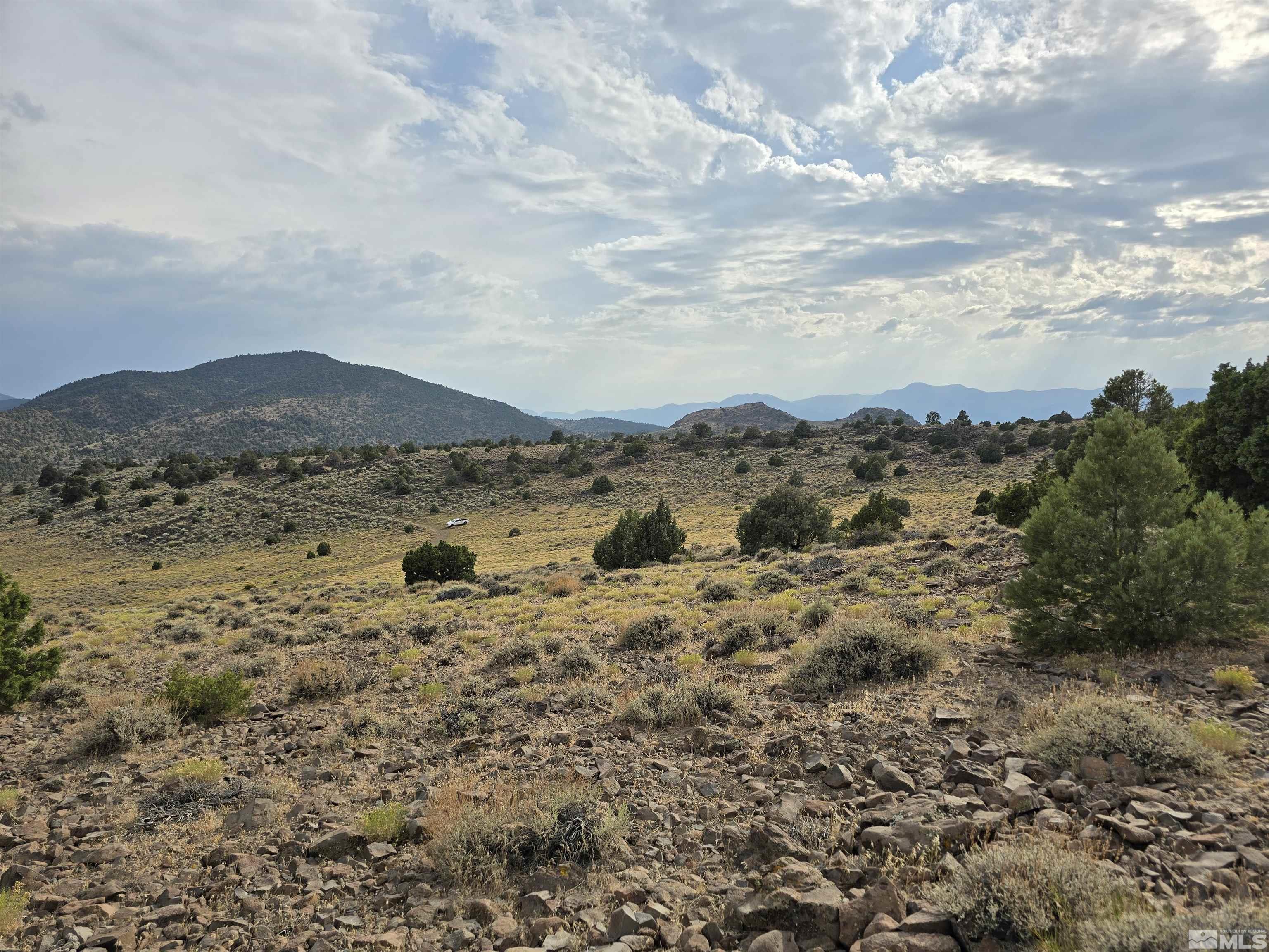4-221-02 Reno, NV 89521 - Photo 7 of 21 a view of mountain view with lots of trees