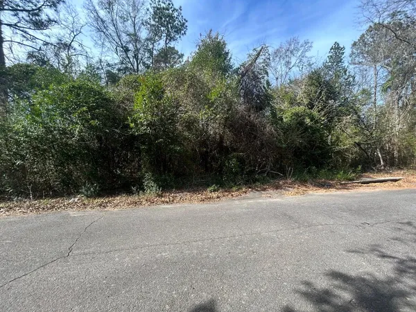 $7,900 | 0 Robinson Drive, New Ellenton, SC 29809