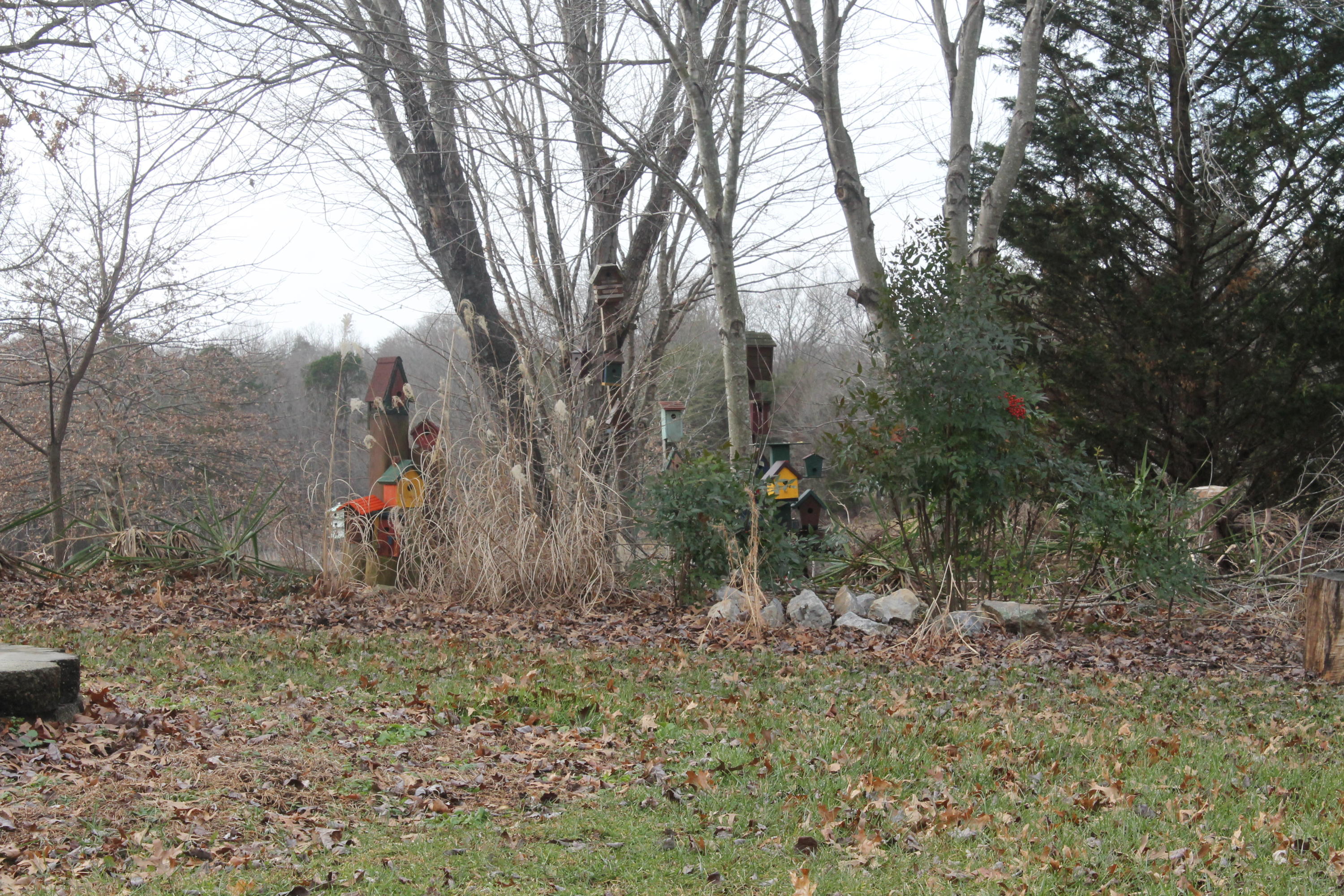 101 Aftons Meadow Road Vinton, VA 24179 - Photo 17 of 55 IMG_1025