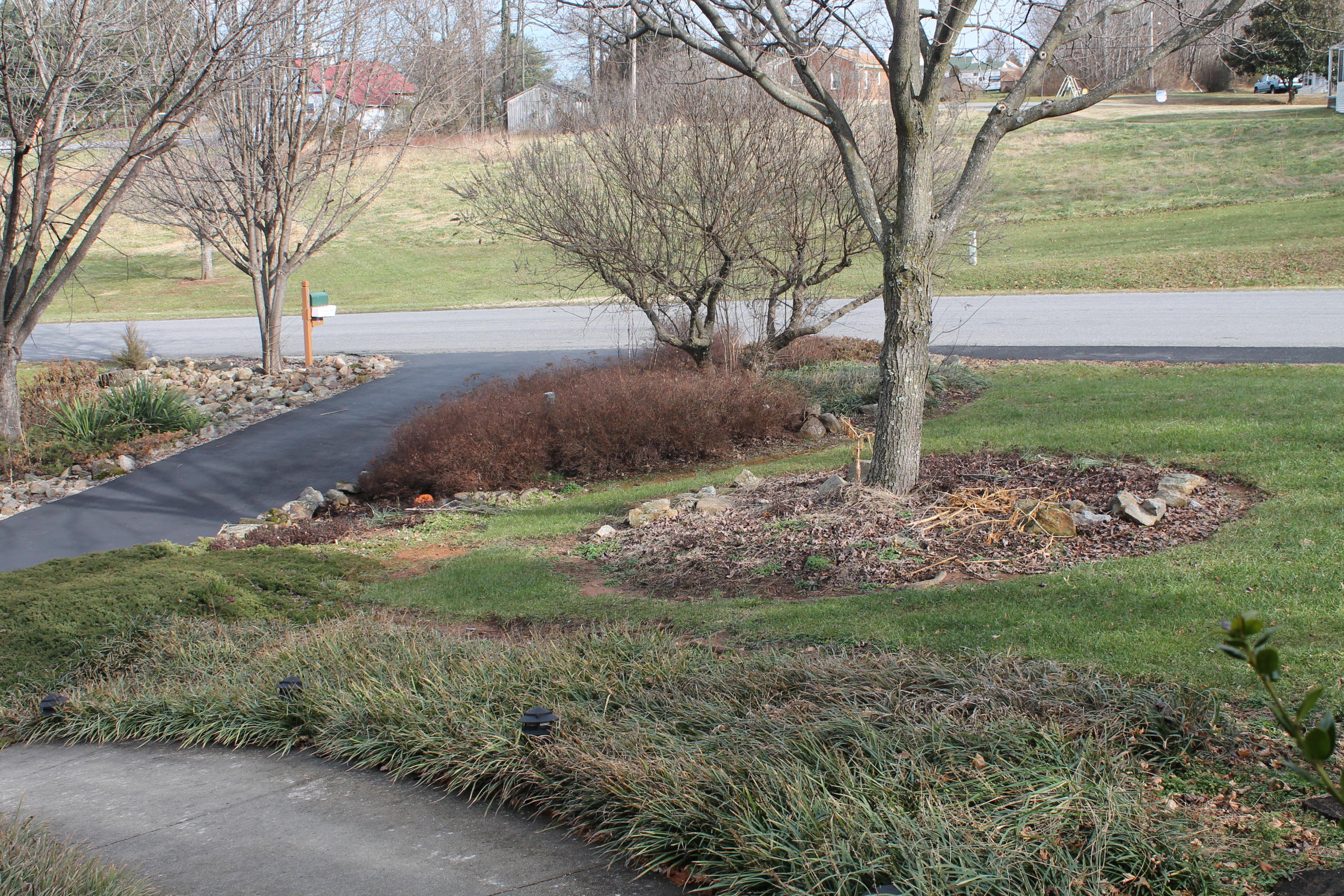 101 Aftons Meadow Road Vinton, VA 24179 - Photo 20 of 55 a view of a garden with trees
