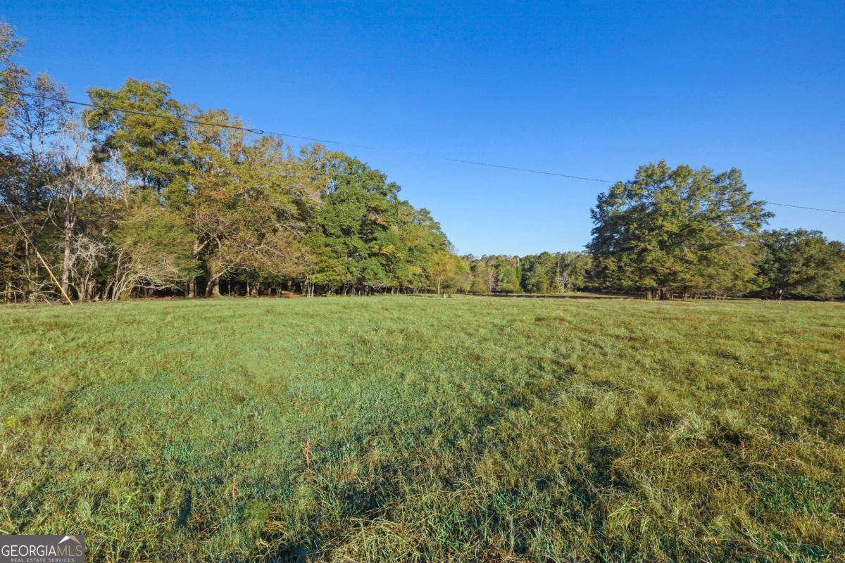 1210 Carson-Graves Road, Unit 2B Watkinsville, GA 30677 - Photo 11 of 14 a view of a green field with trees