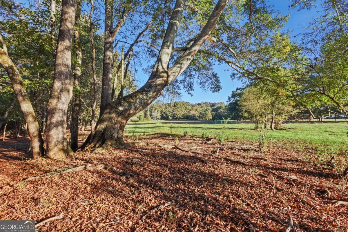 1210 Carson-Graves Road, Unit 2B Watkinsville, GA 30677 - Photo 12 of 14