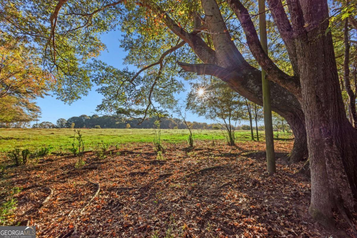 1210 Carson-Graves Road, Unit 2B Watkinsville, GA 30677 - Photo 3 of 14 a view of a garden with a tree