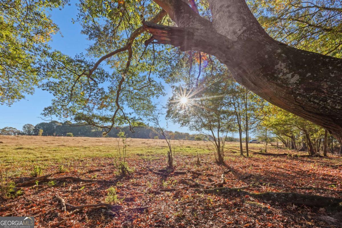 1210 Carson-Graves Road, Unit 2B Watkinsville, GA 30677 - Photo 7 of 14 a view of a yard with an outdoor space
