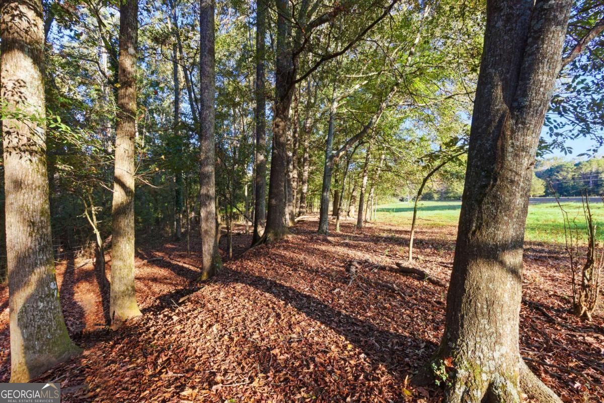 1210 Carson-Graves Road, Unit 2B Watkinsville, GA 30677 - Photo 8 of 14 a view of a yard with trees