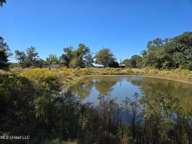 $388,800 | 13165 Highway 613, Lucedale, MS 39452