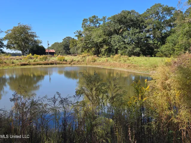 $388,800 | 13165 Highway 613, Lucedale, MS 39452