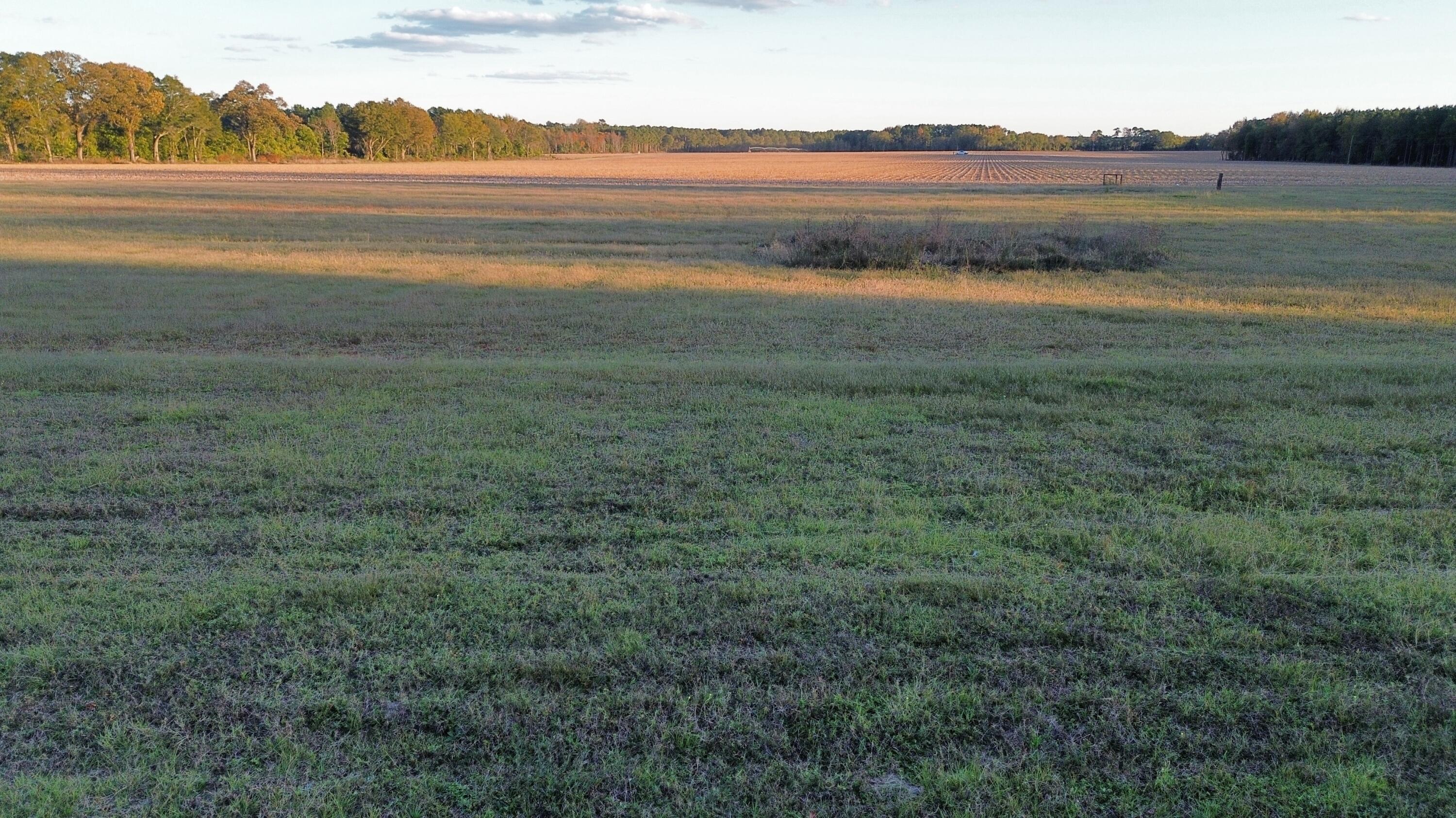 Tbd Tbd Binnicker Bridge Road Cope, SC 29038 - Photo 1 of 4 Gallery Image 1