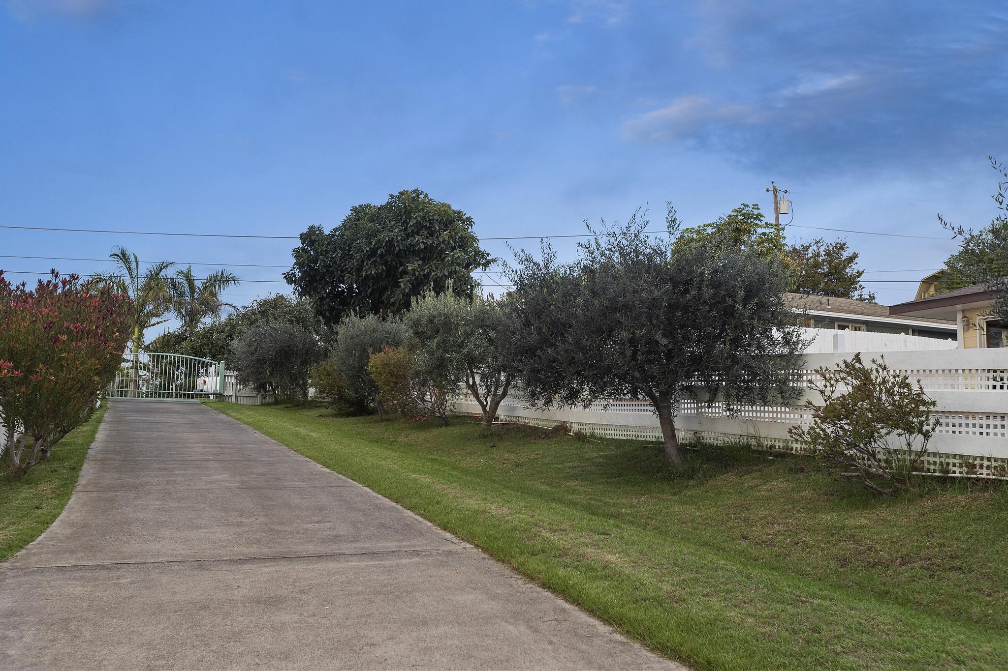 437 A Kolohala Drive Kula, HI 96790 - Photo 48 of 50