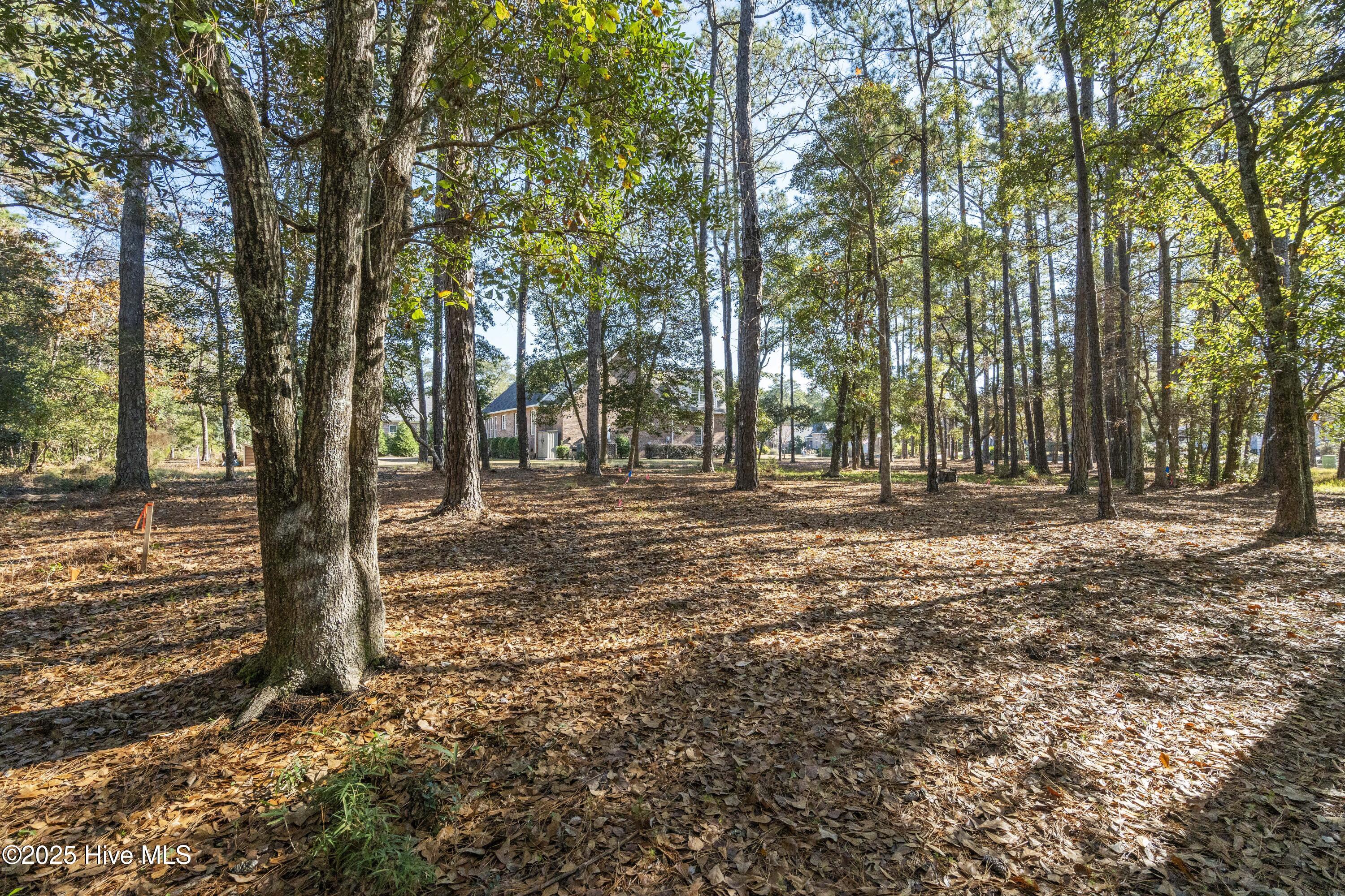 342 Genoe's Point Road Southwest Supply, NC 28462 - Photo 16 of 38 DSC01557