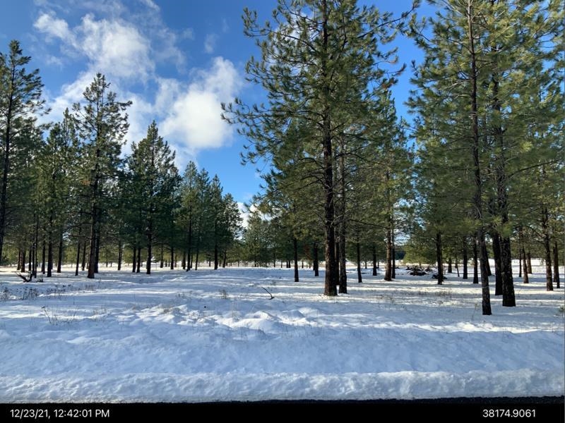 29-xxx North Perry Road Deer Park, WA 99006 - Photo 1 of 1 Gallery Image 1