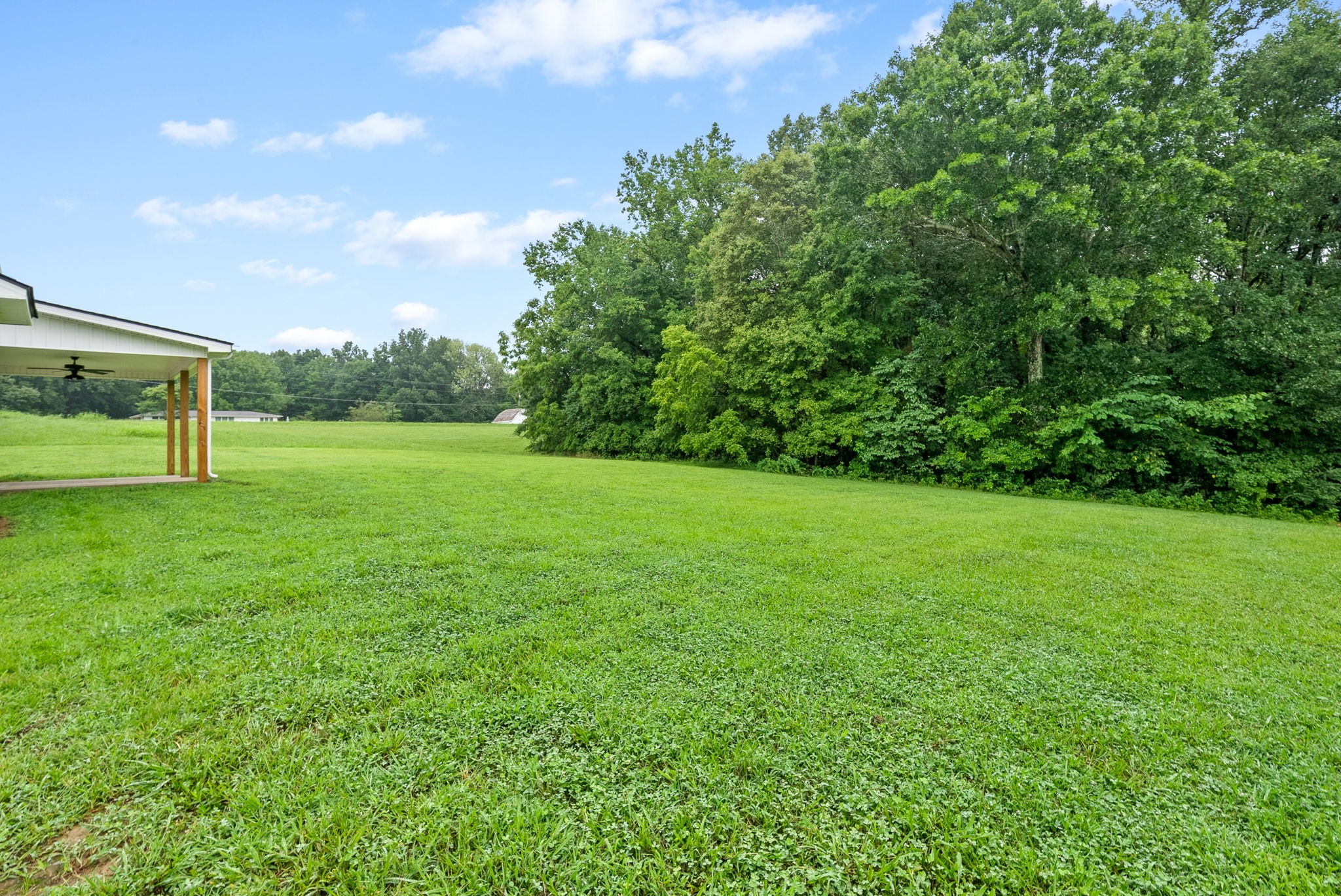 1385 L Bumpus Road Clarksville, TN 37040 - Photo 27 of 28 a view of a grassy field with trees