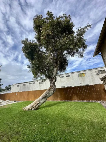 a view of a backyard with wooden fence and large trees