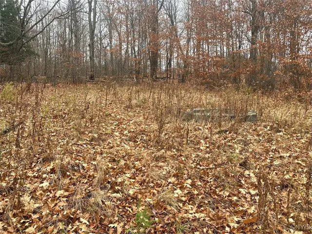 $34,900 | 0 Brandes Road, Wellsville, NY 14895