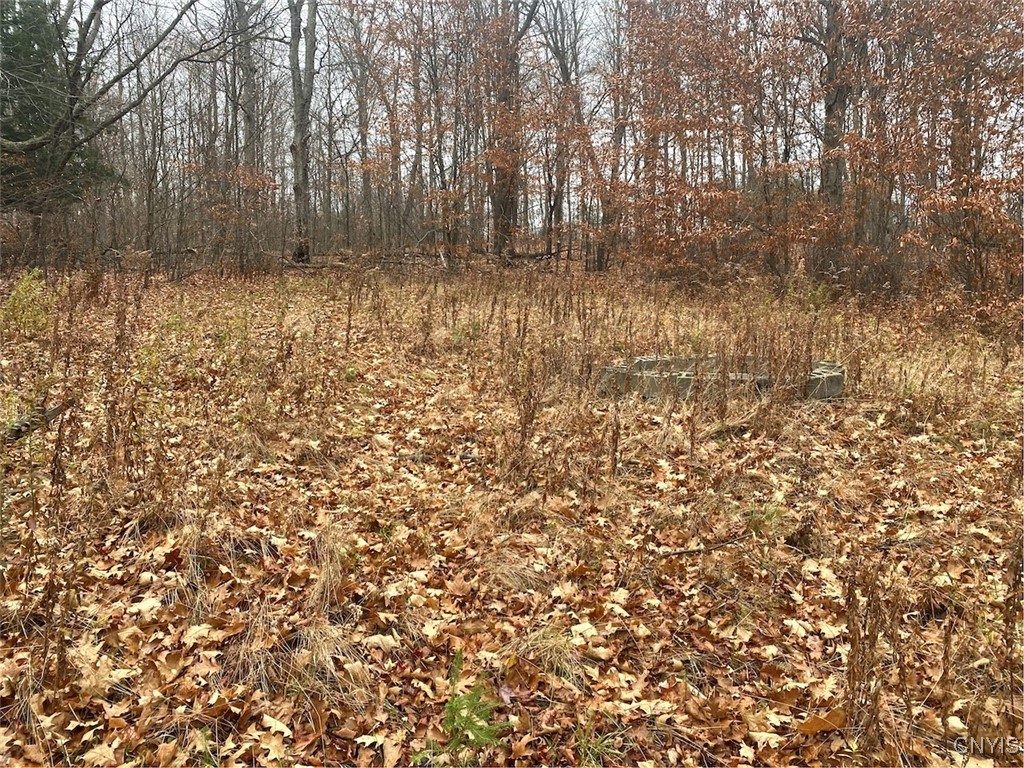 0 Brandes Road Wellsville, NY 14895 - Photo 11 of 17