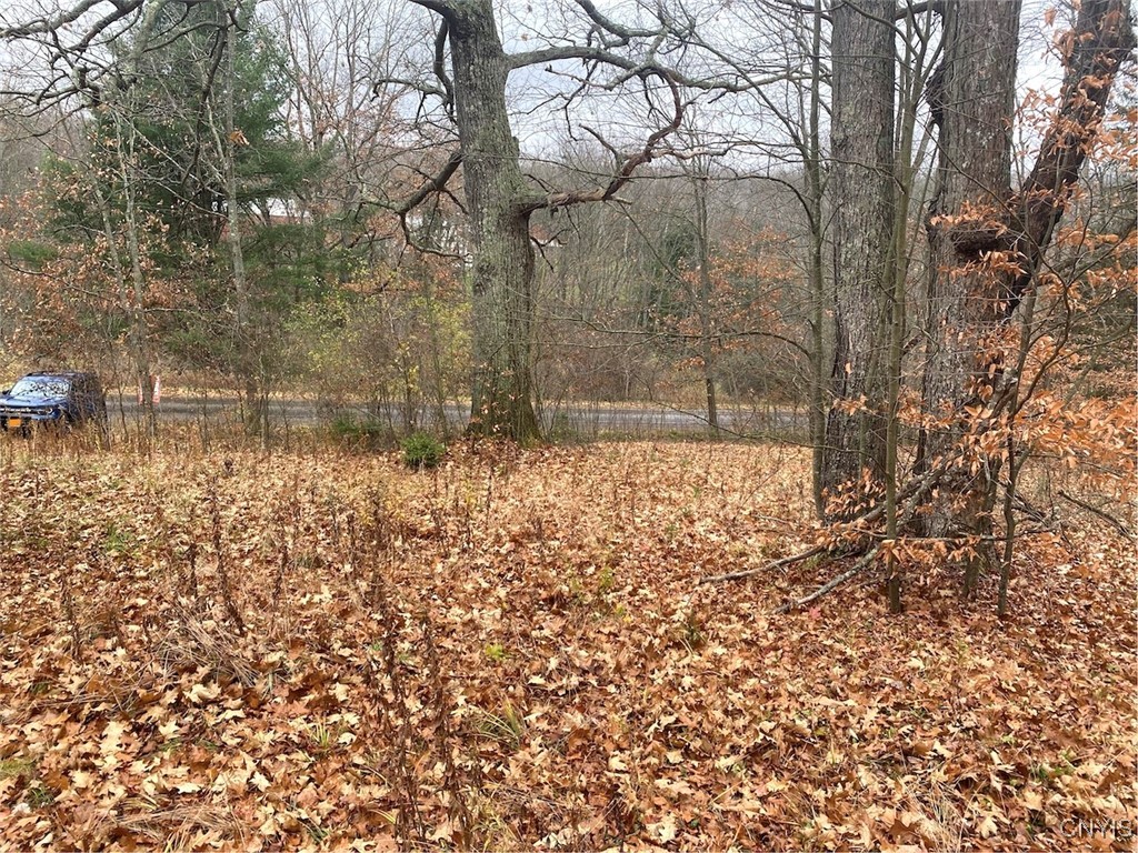 0 Brandes Road Wellsville, NY 14895 - Photo 12 of 17