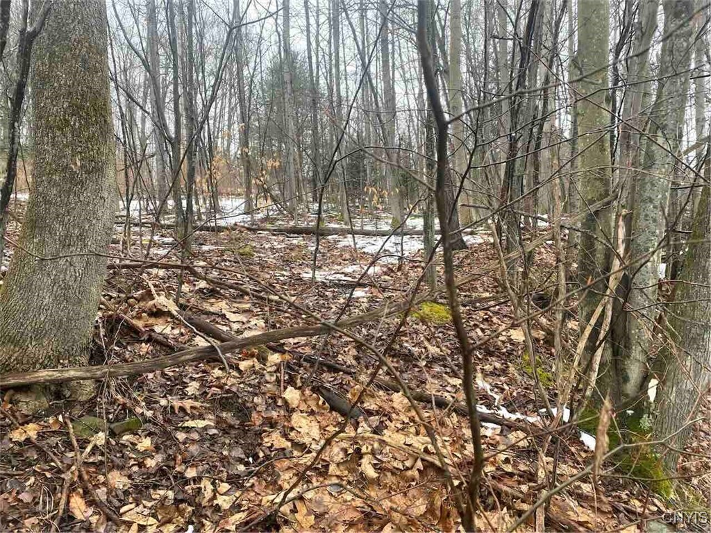 0 Brandes Road Wellsville, NY 14895 - Photo 13 of 17