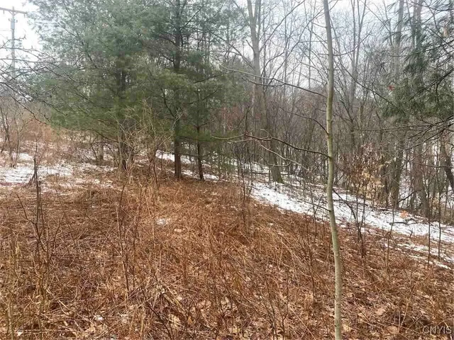 $34,900 | 0 Brandes Road, Wellsville, NY 14895