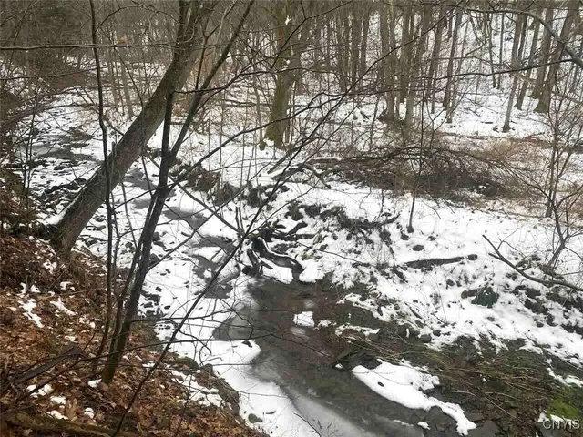 $34,900 | 0 Brandes Road, Wellsville, NY 14895