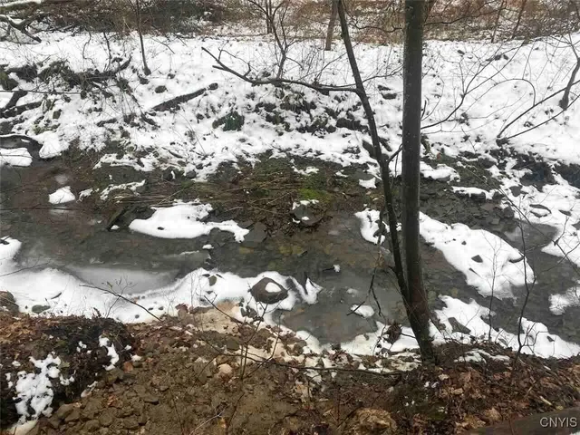 $34,900 | 0 Brandes Road, Wellsville, NY 14895