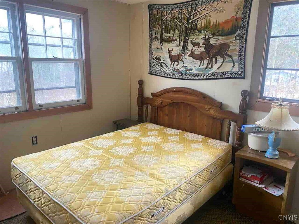 0 Brandes Road Wellsville, NY 14895 - Photo 9 of 17