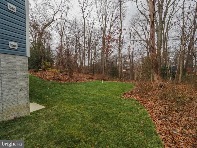 a view of outdoor space with trees
